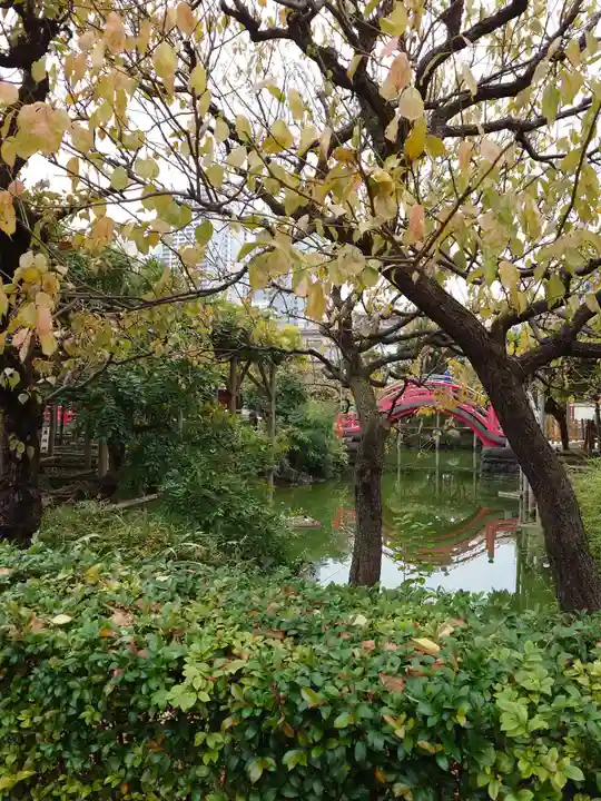 亀戸天神社(東京都)