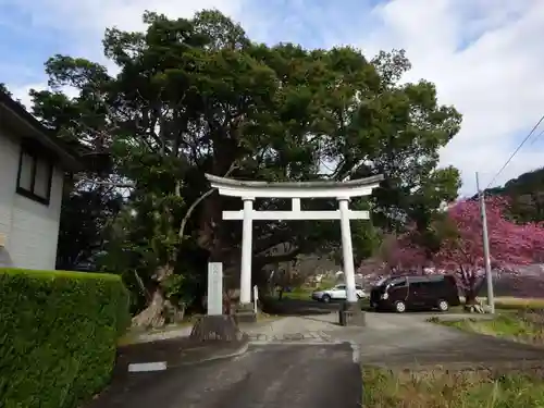 川津来宮神社の鳥居