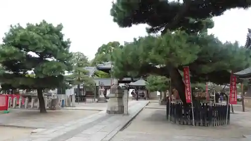 葛井寺(大阪府)