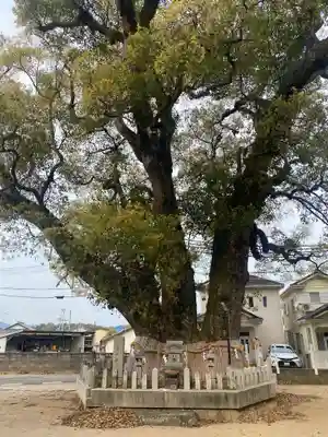 船守神社(大阪府)