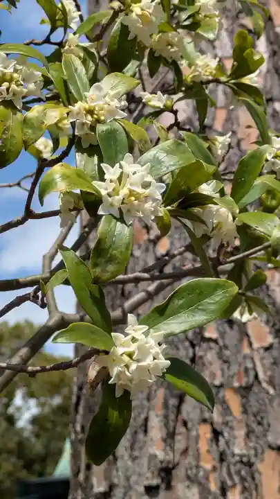 惠心院(京都府)