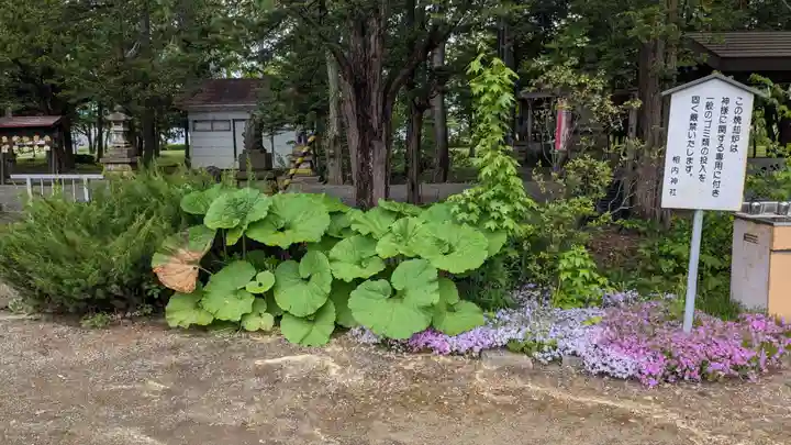 相内神社の庭園