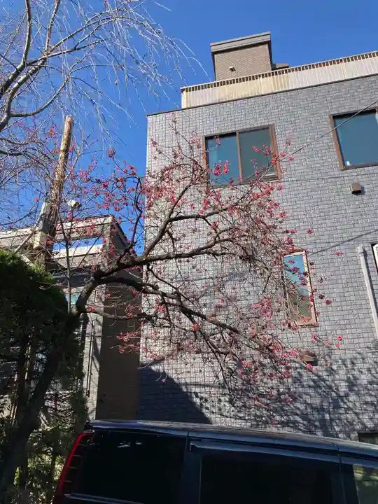 宗参寺(東京都)