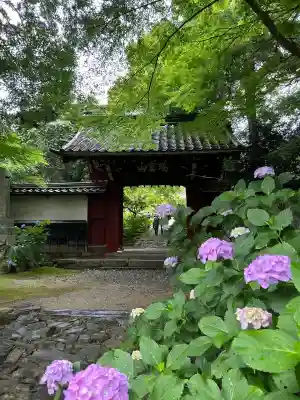 本光寺の山門・神門