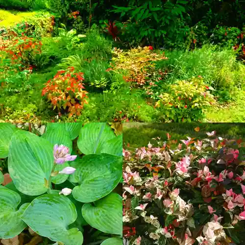寿量山　速成寺(奈良県)