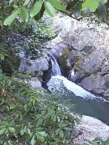 水間寺の自然