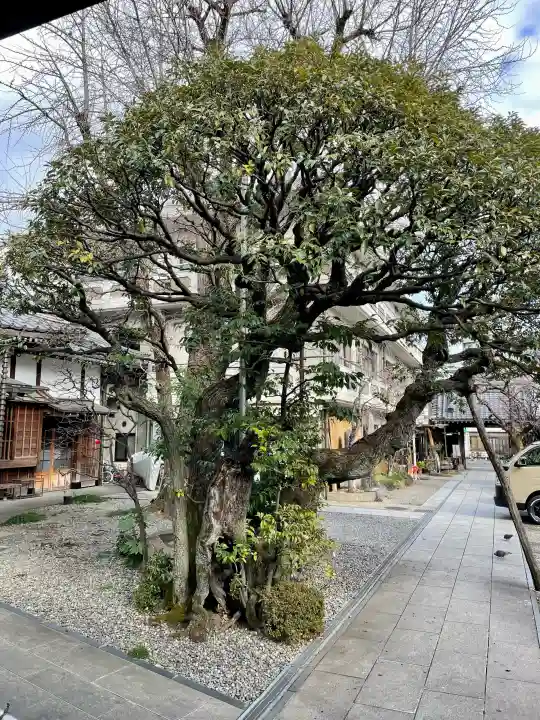 永稱寺の{uncategorized: "未分類", other: "その他", undefined: "問題あり", building: "その他建物", grave: "お墓", sacred_gate: "鳥居", guardian: "狛犬", statue: "像", buddha: "仏像", history: "歴史", nature: "自然", garden: "庭園", animal: "動物", pagoda: "塔", temizu: "手水舎", mountain_gate: "山門・神門", sanctuary: "本殿・本堂", subordinate: "末社・摂社", art: "芸術", scenery: "景色", jizo: "地蔵", ema: "絵馬", goshuin: "御朱印", omikuji: "おみくじ", items: "授与品その他", amulet: "お守り", goshuincho: "御朱印帳", eats: "食事", festival: "お祭り", votive_dance: "神楽", shichigosan: "七五三参", wedding: "結婚式", experience: "体験その他", initially: "初詣", around: "周辺", anti_infection: "感染症対策"}