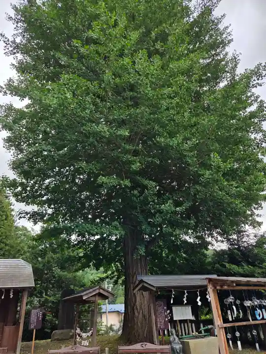 浅岸薬師神社(岩手県)