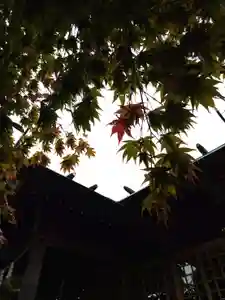 厚別神社(北海道)(2023年10月06日(金) 13時34分05秒投稿)