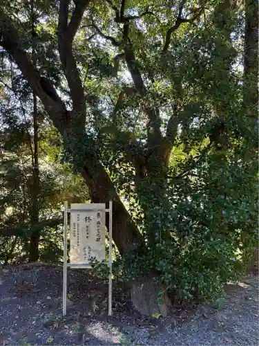 高木神社(福島県)