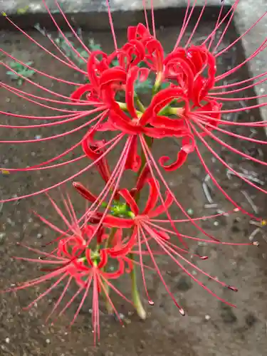 正覚院(神奈川県)