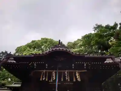 代々木八幡宮の本殿・本堂