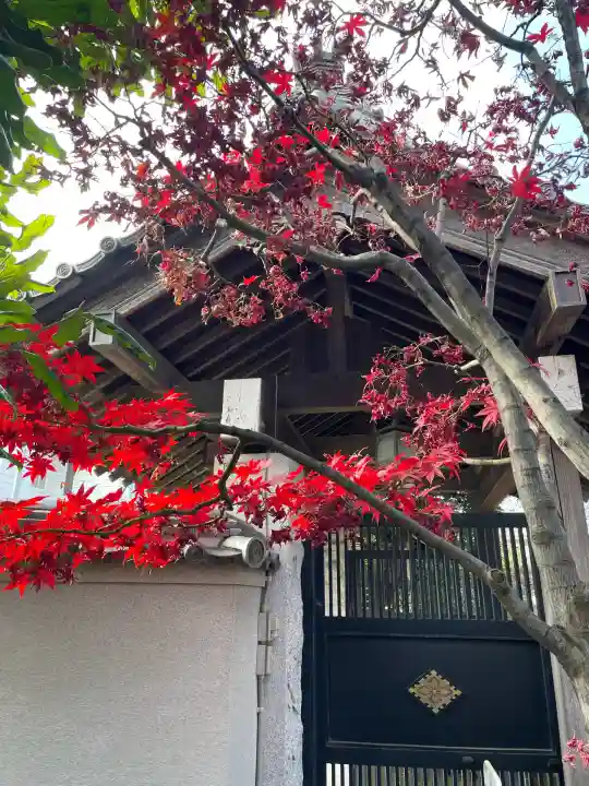 大法寺(東京都)