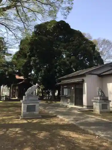 五所神社の狛犬