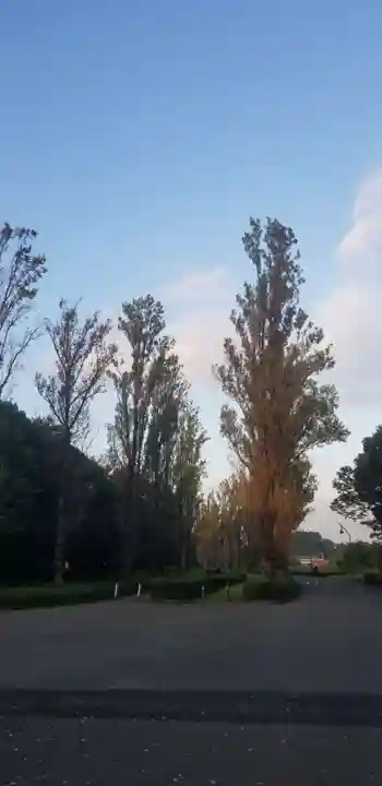 日枝神社(東京都)