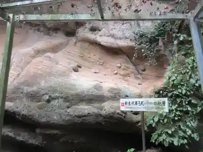 観音院(埼玉県)