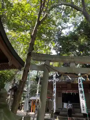 八百富神社の鳥居