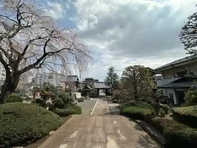 青柳寺(神奈川県)
