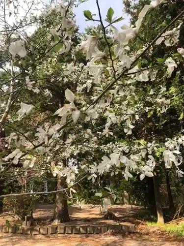 正一位 若草稲荷神社の自然