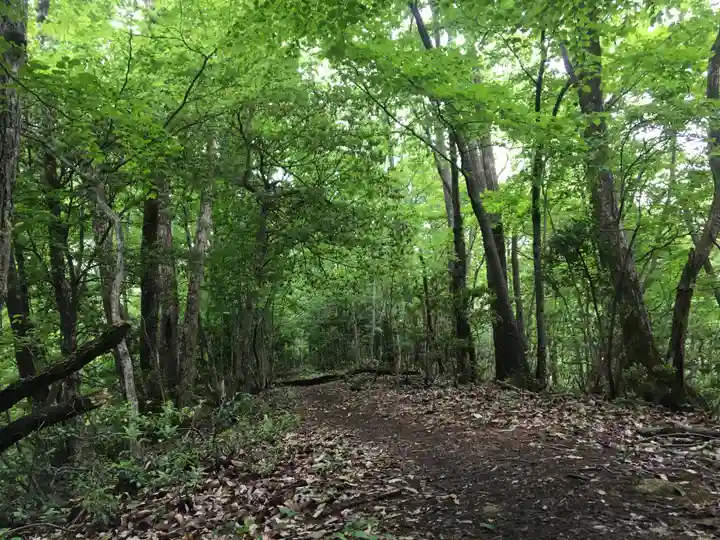 佐々牟志神社の自然