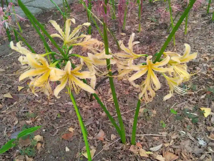 横浜 西方寺(神奈川県)