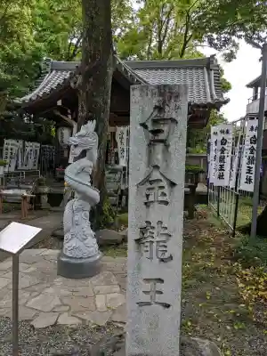 白金龍王社の{uncategorized: "未分類", other: "その他", undefined: "問題あり", building: "その他建物", grave: "お墓", sacred_gate: "鳥居", guardian: "狛犬", statue: "像", buddha: "仏像", history: "歴史", nature: "自然", garden: "庭園", animal: "動物", pagoda: "塔", temizu: "手水舎", mountain_gate: "山門・神門", sanctuary: "本殿・本堂", subordinate: "末社・摂社", art: "芸術", scenery: "景色", jizo: "地蔵", ema: "絵馬", goshuin: "御朱印", omikuji: "おみくじ", items: "授与品その他", amulet: "お守り", goshuincho: "御朱印帳", eats: "食事", festival: "お祭り", votive_dance: "神楽", shichigosan: "七五三参", wedding: "結婚式", experience: "体験その他", initially: "初詣", around: "周辺", anti_infection: "感染症対策"}
