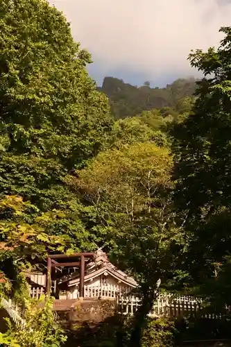 戸隠神社奥社(長野県)