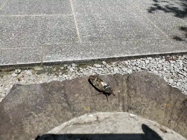 滑川神社 - 仕事と子どもの守り神の自然