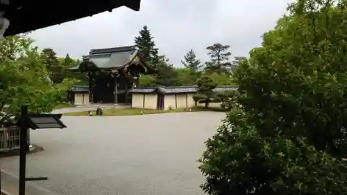 大覚寺の庭園