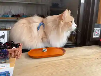 むむむ。雀発見!