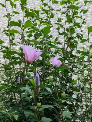 西林寺(京都府)