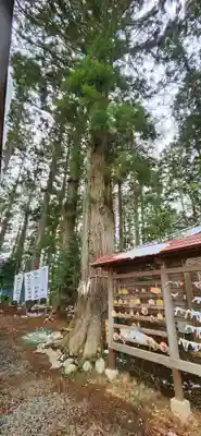 坪沼八幡神社の周辺