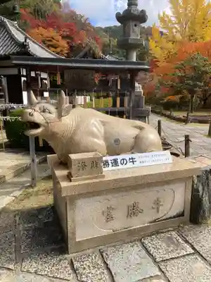三室戸寺(京都府)