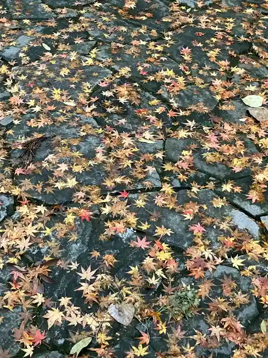 宇佐神宮(大分県)