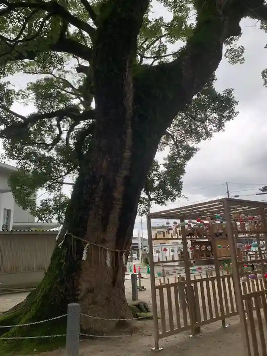 現人神社(福岡県)