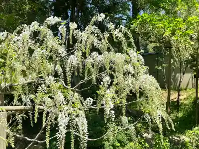 歌泉堂（春日大社神苑萬葉植物園内鎮座）(奈良県)