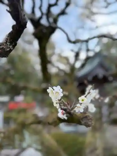 大井神社(静岡県)