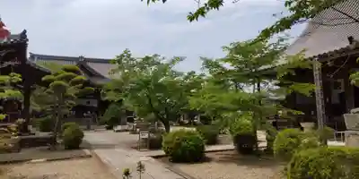 橘寺(奈良県)