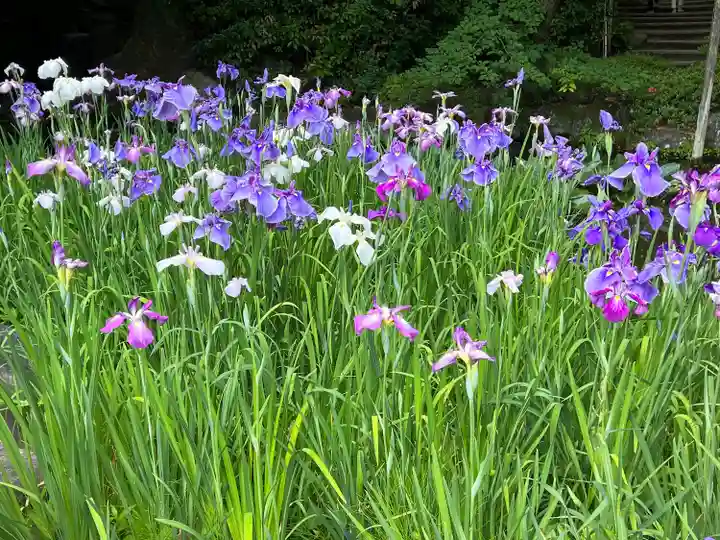 平安神宮(京都府)