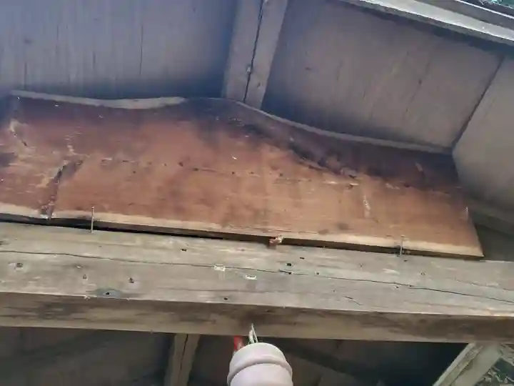 四社神社(栃木県)