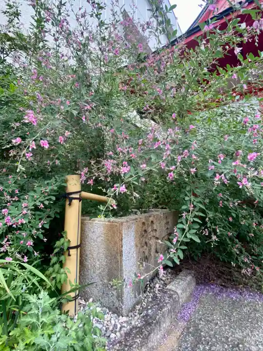 粟嶋堂宗徳寺の手水舎