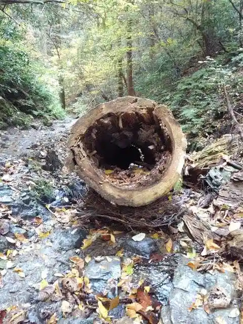 高尾山薬王院の周辺