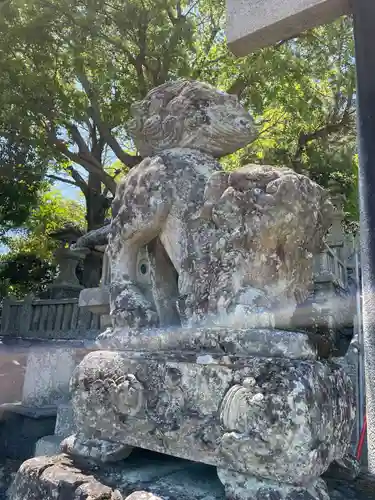 金刀比羅神社(徳島県)