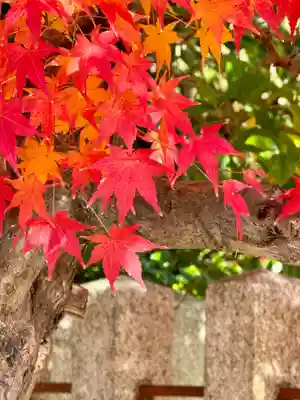 京都乃木神社(京都府)