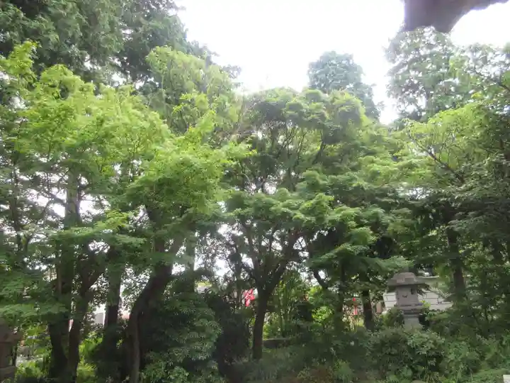 龍華寺(神奈川県)