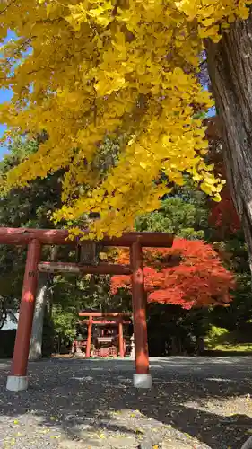 高野山金剛峯寺奥の院(和歌山県)