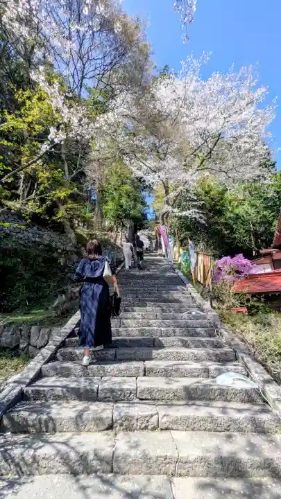 金櫻神社の{uncategorized: "未分類", other: "その他", undefined: "問題あり", building: "その他建物", grave: "お墓", sacred_gate: "鳥居", guardian: "狛犬", statue: "像", buddha: "仏像", history: "歴史", nature: "自然", garden: "庭園", animal: "動物", pagoda: "塔", temizu: "手水舎", mountain_gate: "山門・神門", sanctuary: "本殿・本堂", subordinate: "末社・摂社", art: "芸術", scenery: "景色", jizo: "地蔵", ema: "絵馬", goshuin: "御朱印", omikuji: "おみくじ", items: "授与品その他", amulet: "お守り", goshuincho: "御朱印帳", eats: "食事", festival: "お祭り", votive_dance: "神楽", shichigosan: "七五三参", wedding: "結婚式", experience: "体験その他", initially: "初詣", around: "周辺", anti_infection: "感染症対策"}