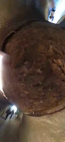 銭洗弁財天宇賀福神社(神奈川県)