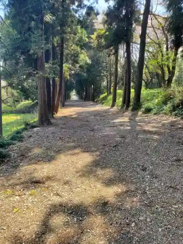 千代ケ岡八幡宮(栃木県)