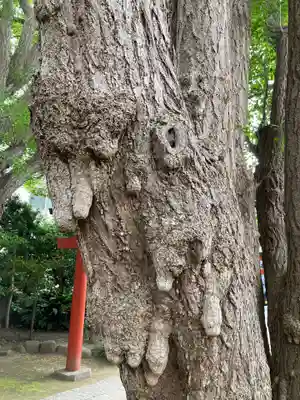 由比若宮（元鶴岡八幡宮）(神奈川県)